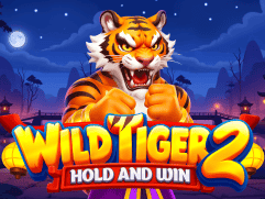 Wild Tiger 2 screenshot